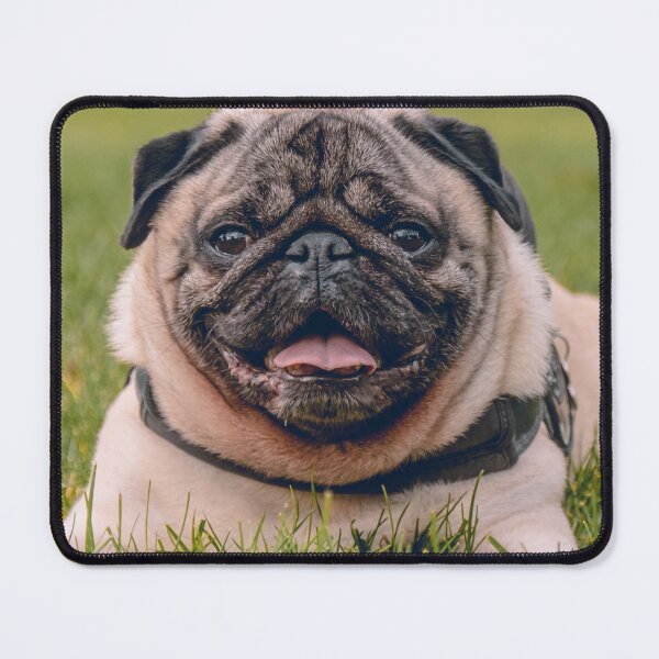 Item preview, Cute Pug Tongue Out Happy Portrait designed and sold by VanGaldo.
