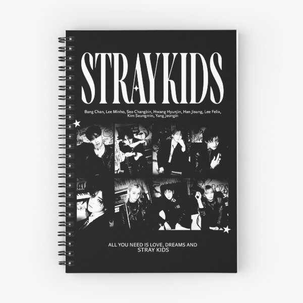 Item preview, Stray Kids This and THAT black and white kpop skz skzoo you make stray kids stay comeback bang chan lee know changbin hyunjin han felix seungmin IN world tour 5 star divine poster designed and sold by Kpop-Noona.