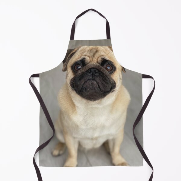 Item preview, Cute Fawn Pug Sitting Down Portrait designed and sold by VanGaldo.