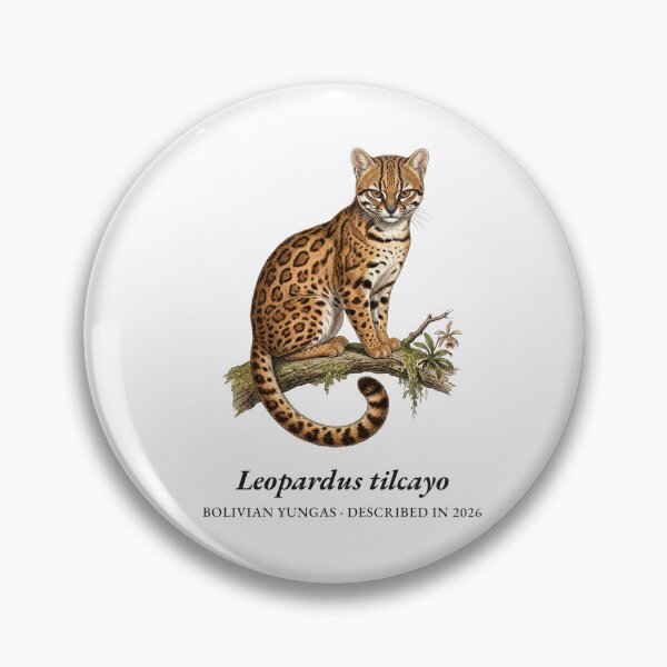 Item preview, Leopardus Tilcayo - Bolivian Wildcat Zoological Plate designed and sold by DeepRootStudio.