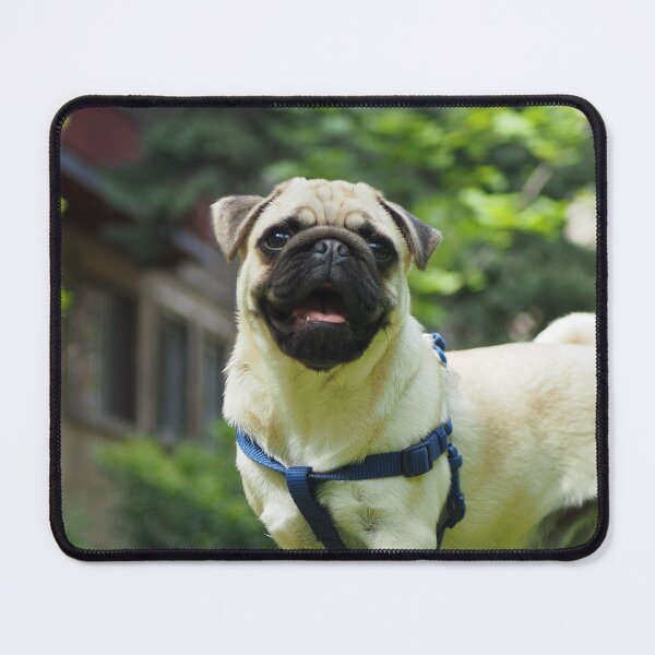 Item preview, Happy Fawn Pug Puppy Outdoor Summer Walk designed and sold by VanGaldo.
