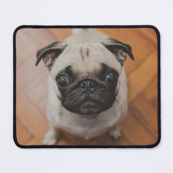 Item preview, Funny Fawn Pug Puppy Begging For Food designed and sold by VanGaldo.