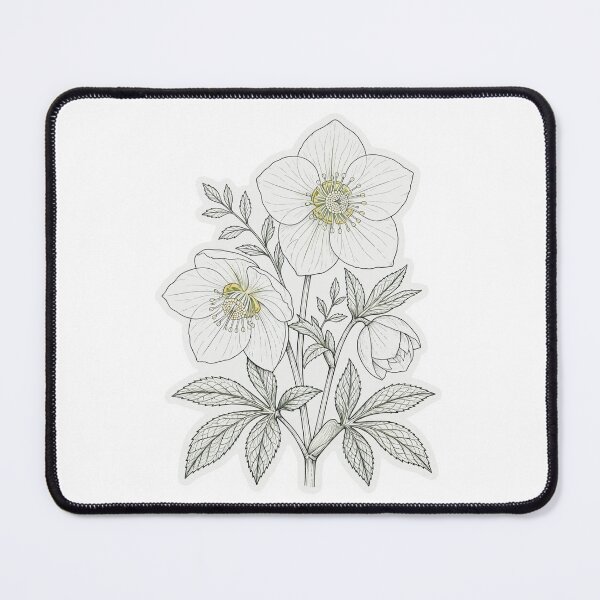 Item preview, White Hellebore Sticker | Christmas Rose Die Cut Sticker | Fine Line Botanical Decal | Winter Flower Laptop Sticker designed and sold by FineLineBotanical .