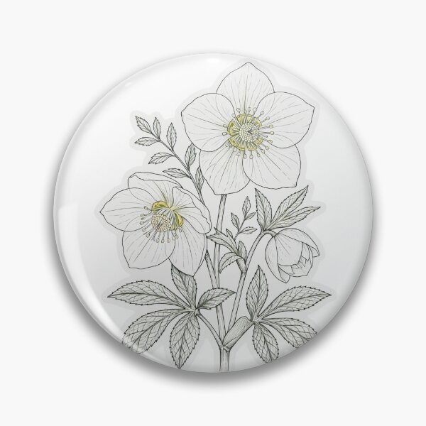 Item preview, White Hellebore Sticker | Christmas Rose Die Cut Sticker | Fine Line Botanical Decal | Winter Flower Laptop Sticker designed and sold by FineLineBotanical .