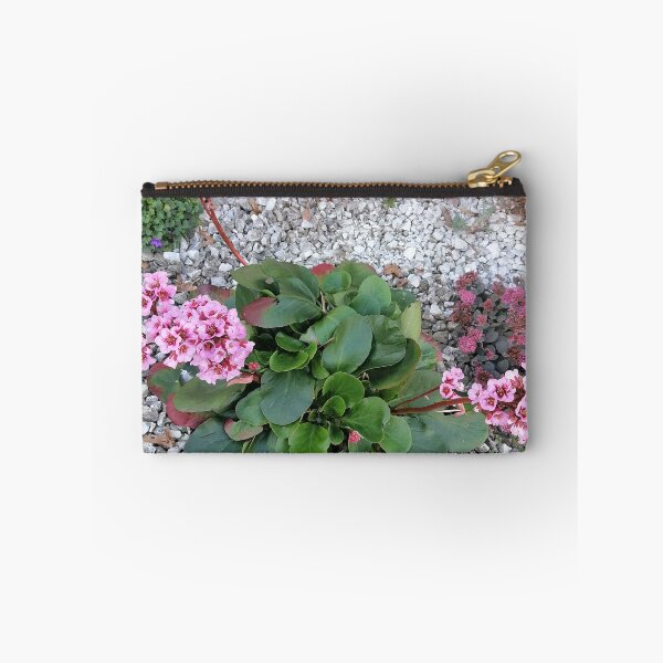 Artikelvorschau, Pink Bergenia Flowers In Garden entworfen und verkauft von PhuongVoArt.