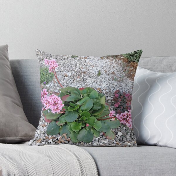 Artikelvorschau, Pink Bergenia Flowers In Garden entworfen und verkauft von PhuongVoArt.