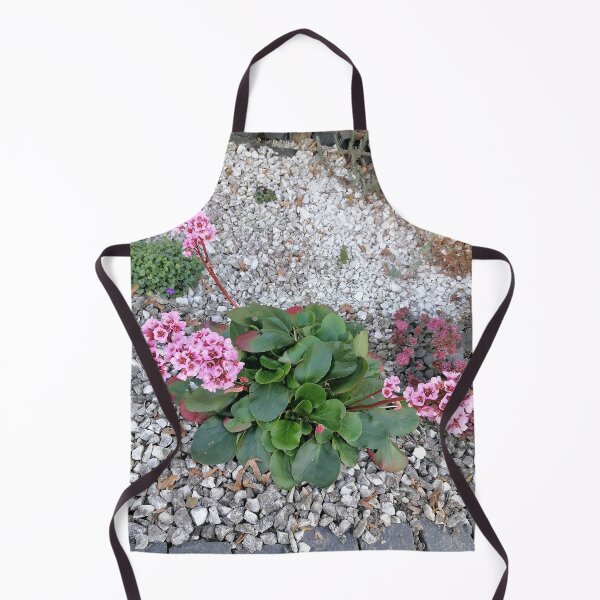 Item preview, Pink Bergenia Flowers In Garden designed and sold by PhuongVoArt.