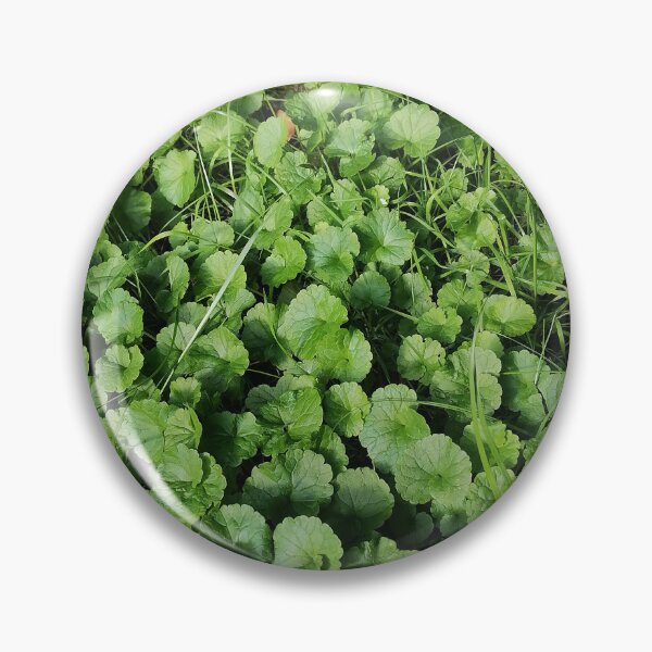 Item preview, Lush Green Groundcover Leaves In Garden designed and sold by PhuongVoArt.
