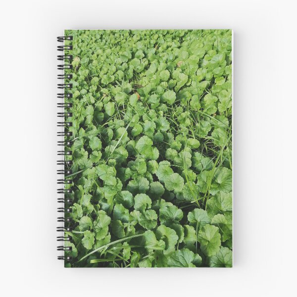 Artikelvorschau, Lush Green Groundcover Leaves In Garden entworfen und verkauft von PhuongVoArt.