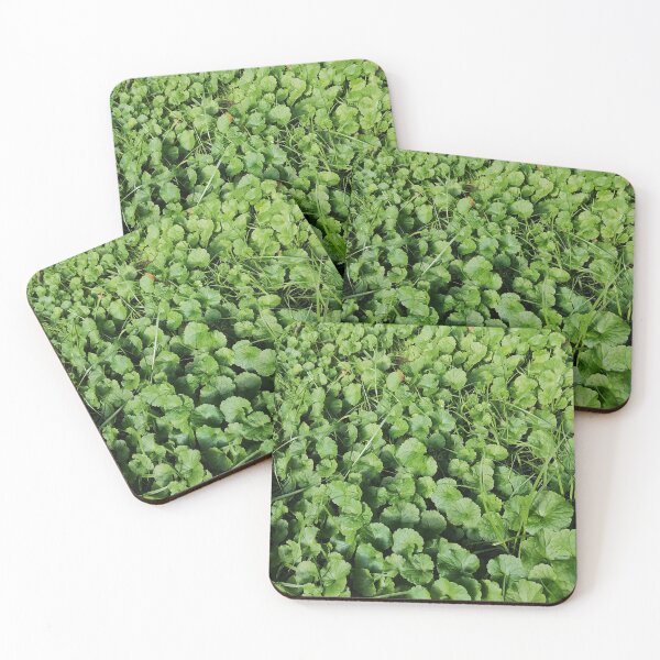 Item preview, Lush Green Groundcover Leaves In Garden designed and sold by PhuongVoArt.