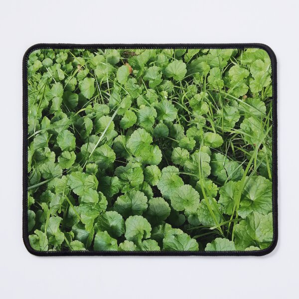 Item preview, Lush Green Groundcover Leaves In Garden designed and sold by PhuongVoArt.