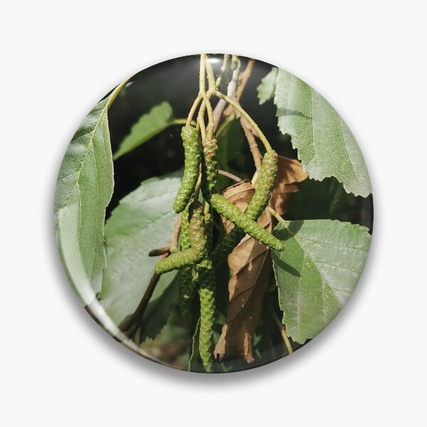 Artikelvorschau, Green Catkins On Tree Branch entworfen und verkauft von PhuongVoArt.