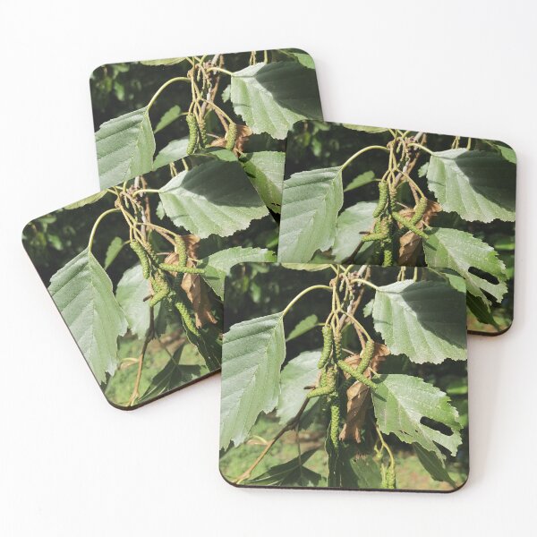 Item preview, Green Catkins On Tree Branch designed and sold by PhuongVoArt.