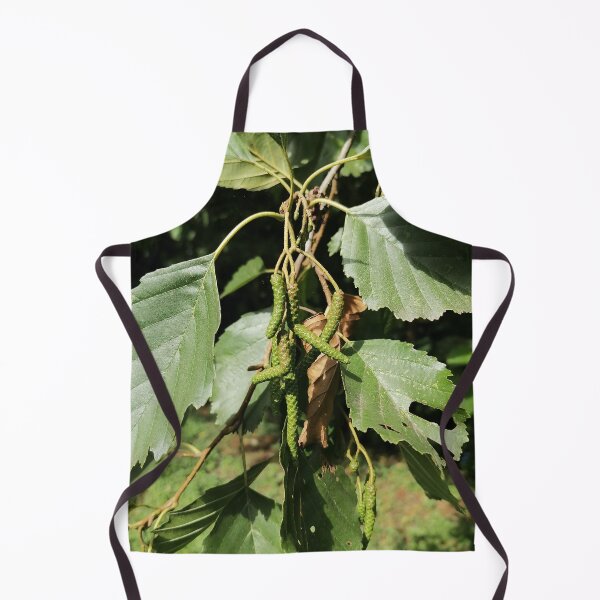 Item preview, Green Catkins On Tree Branch designed and sold by PhuongVoArt.