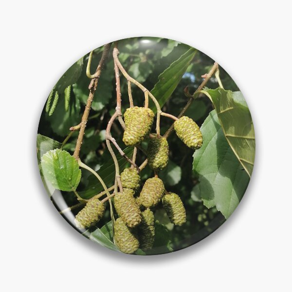 Item preview, Green Catkins On Tree Branch designed and sold by PhuongVoArt.