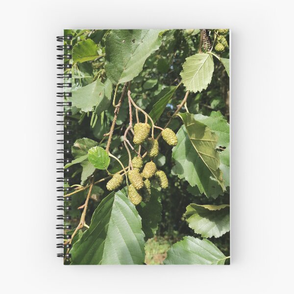 Item preview, Green Catkins On Tree Branch designed and sold by PhuongVoArt.