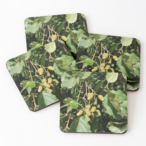 Item preview, Green Catkins On Tree Branch designed and sold by PhuongVoArt.