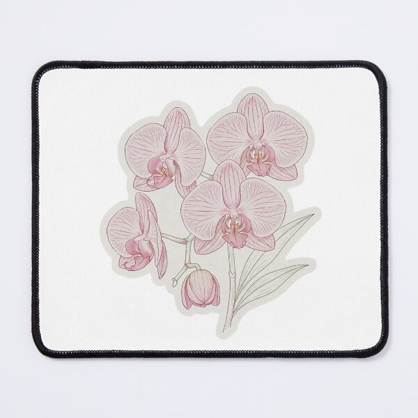 Item preview, Pink Cattleya Orchid Sticker | Cattleya Flower Die Cut Sticker | Fine Line Orchid Decal | Tropical Orchid Laptop Sticker designed and sold by FineLineBotanical .