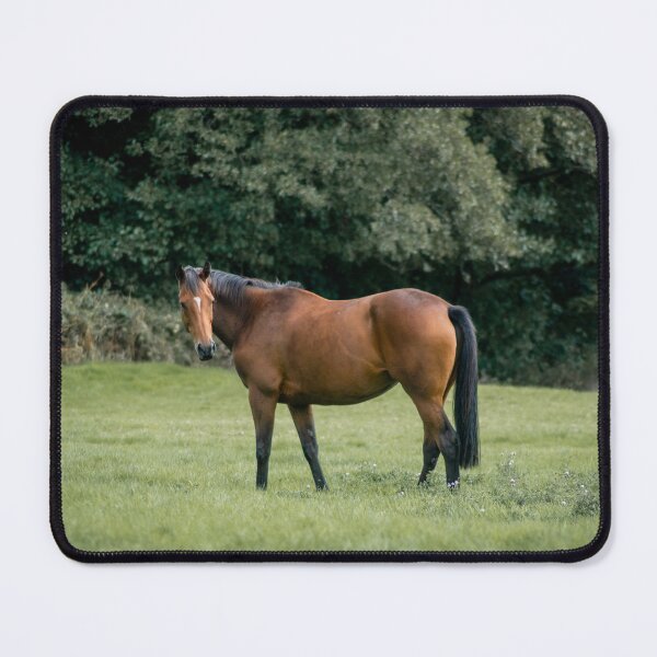 Item preview, Mare in the Meadow designed and sold by brynmelys.