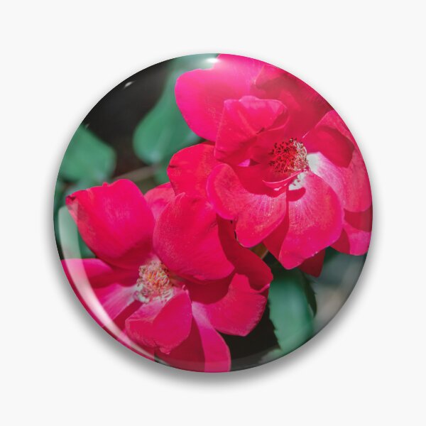 Item preview, Red Knockout Roses designed and sold by RichFrancoCars.