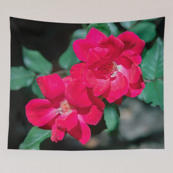 Item preview, Red Knockout Roses designed and sold by RichFrancoCars.