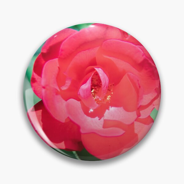 Item preview, Red Knockout Roses designed and sold by RichFrancoCars.