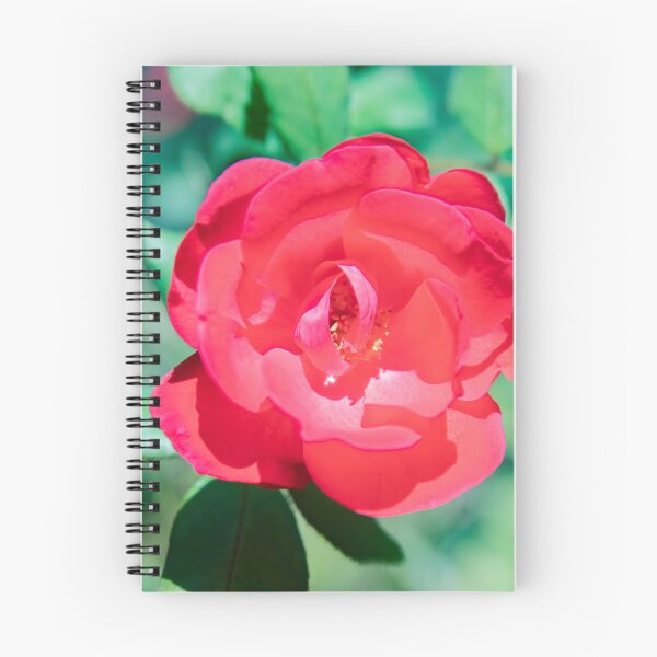 Item preview, Red Knockout Roses designed and sold by RichFrancoCars.