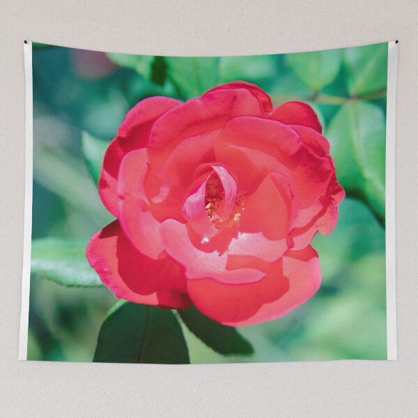 Item preview, Red Knockout Roses designed and sold by RichFrancoCars.