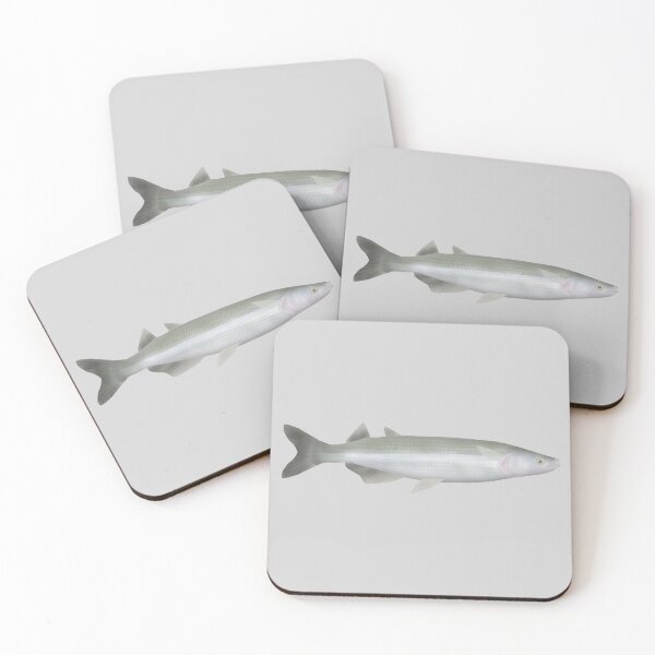 Item preview, Argentinian Silverside designed and sold by fishfolkart.