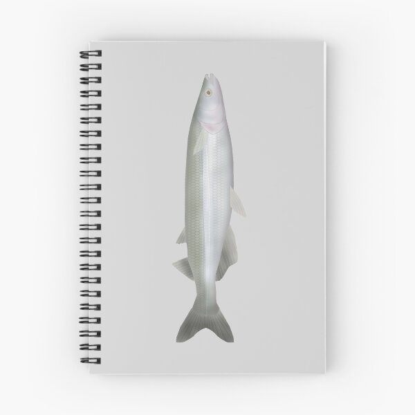 Item preview, Silverside argentino designed and sold by fishfolkart.