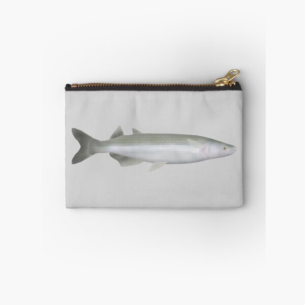 Item preview, Argentinian Silverside designed and sold by fishfolkart.