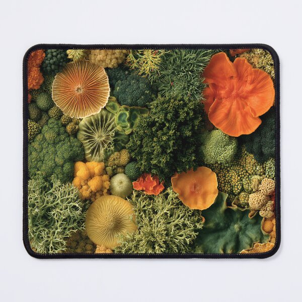 Item preview, Organic Worlds: Lichen Garden — Intricate Natural Macro designed and sold by Atlas-of-Worlds.