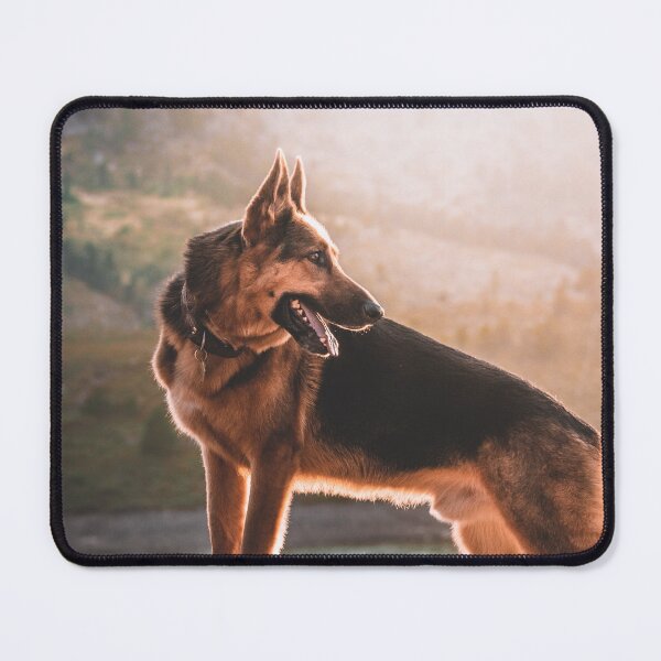 Item preview, Beautiful German Shepherd Landscape Sunset Portrait designed and sold by VanGaldo.