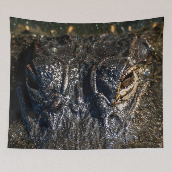 Item preview, Alligator Eyes designed and sold by TinyDinoDesigns.