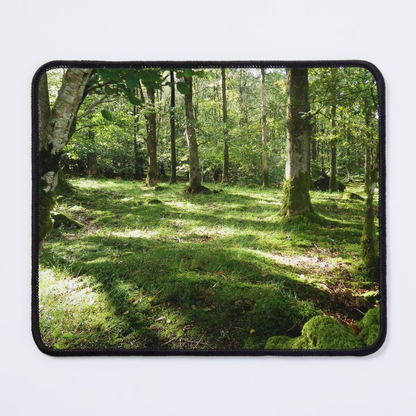 Item preview, Dappled Sunlight in the Forest designed and sold by Tearfulmop.