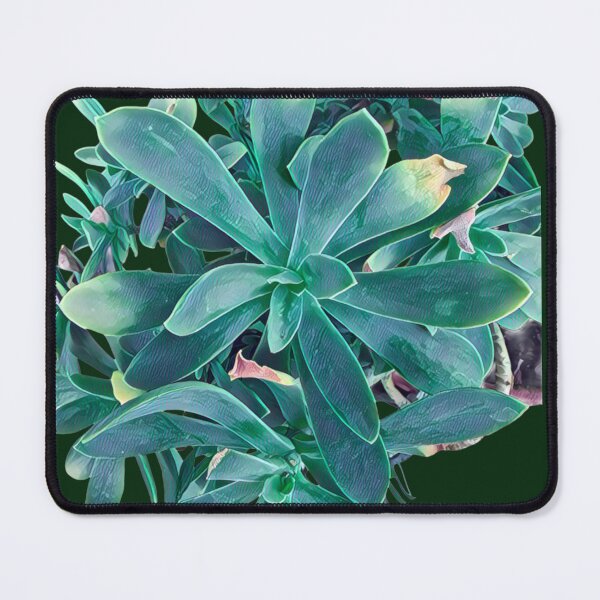 Item preview, Teal Succulent Rosette - Stylized Botanical Art designed and sold by BalkanBloomArt.