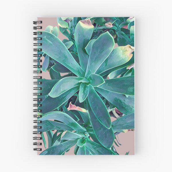 Item preview, Teal Succulent Rosette - Stylized Botanical Art designed and sold by BalkanBloomArt.