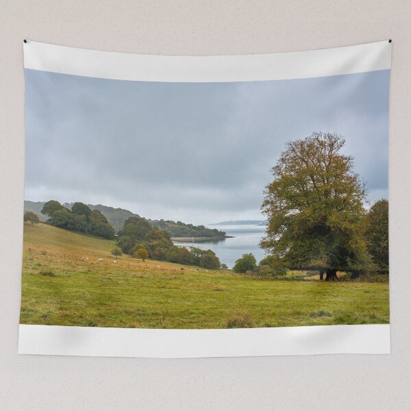 Item preview, River Fal, Cornish Countryside designed and sold by VnGphoto.