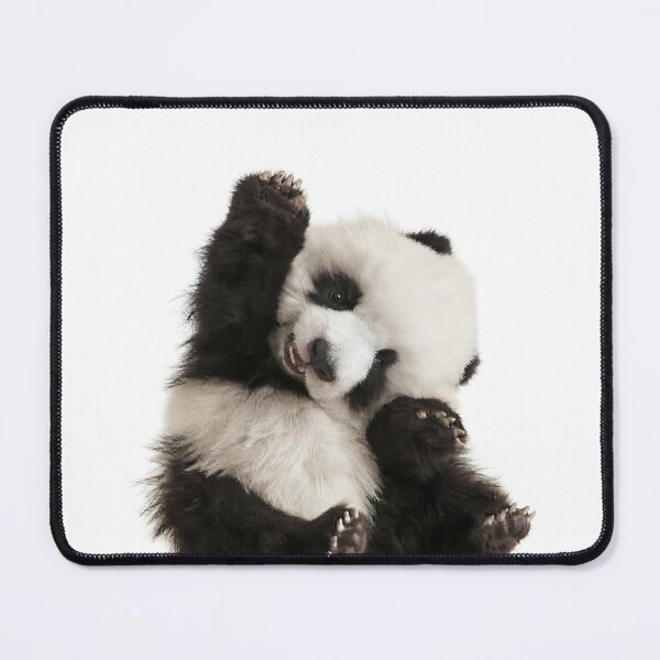 Item preview, Morning Panda designed and sold by Yellow Zone.