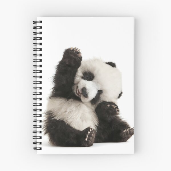 Item preview, Morning Panda designed and sold by Yellow Zone.
