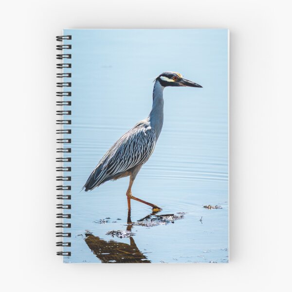 Item preview, Yellow Crowned Night Heron designed and sold by TinyDinoDesigns.
