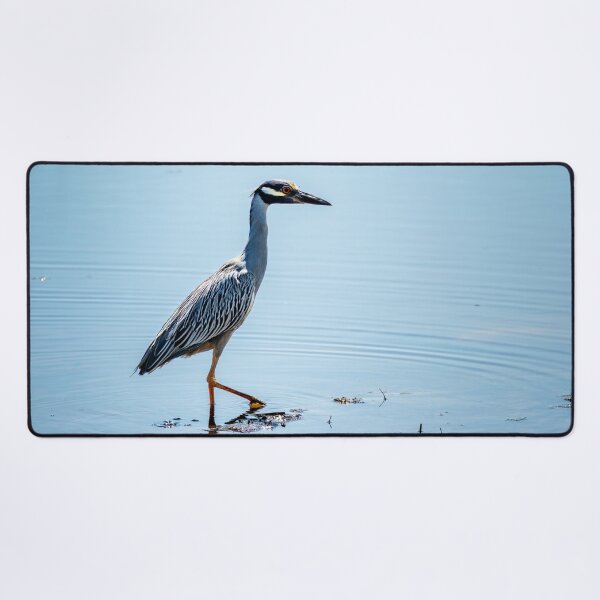 Item preview, Yellow Crowned Night Heron designed and sold by TinyDinoDesigns.