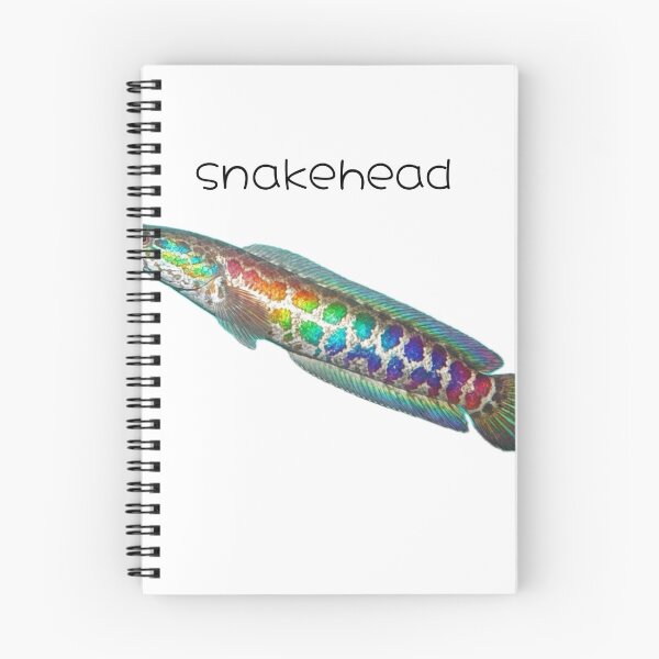 Item preview, Snakehead Rainbow Fish designed and sold by picklesnake.