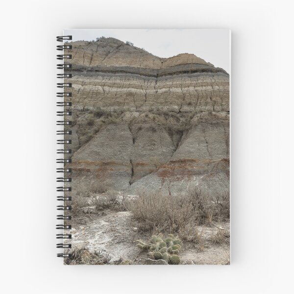 Item preview, Square crop badland formation with cactus in the foreground designed and sold by lisavonbiela.