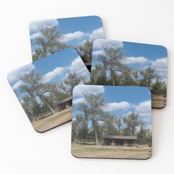 Item preview, Juniper Picnic Shelter at Theodore Roosevelt National Park designed and sold by lisavonbiela.