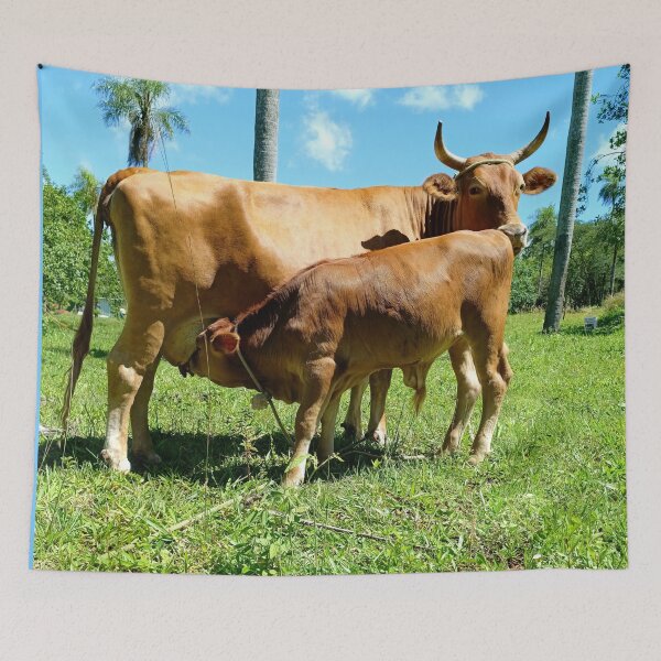 Item preview, Mother Cow Nursing Calf designed and sold by PicturePic.