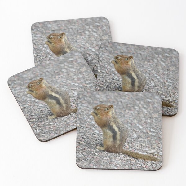 Item preview, Snacking Golden-Mantled Ground Squirrel designed and sold by richardbryce.