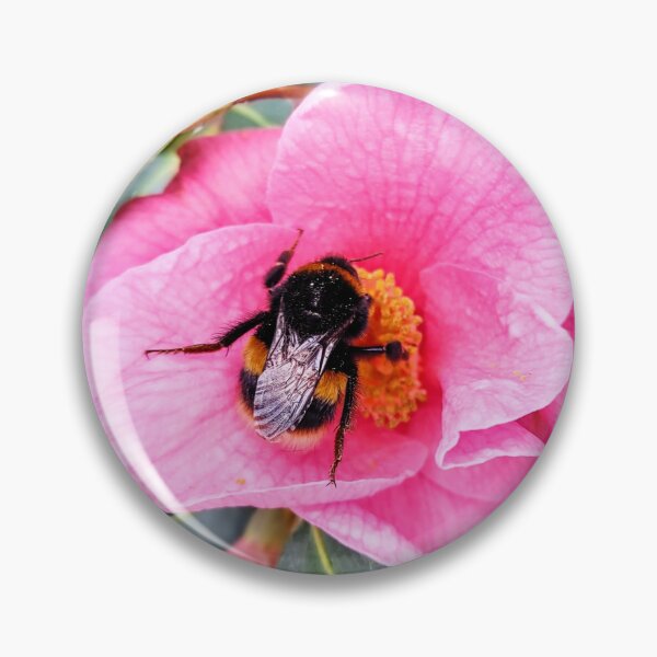 Item preview, Big Bumblebee in a Pale Pink Flower designed and sold by Bee Buddy Photography.