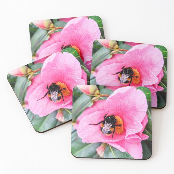 Item preview, Big Bumblebee in a Pale Pink Flower designed and sold by Bee Buddy Photography.