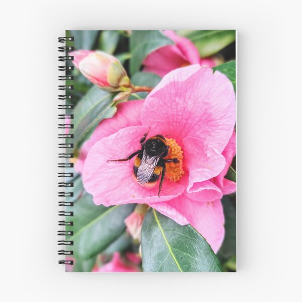 Item preview, Big Bumblebee in a Pale Pink Flower designed and sold by Bee Buddy Photography.
